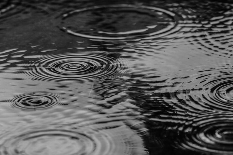 puddle, water, rain