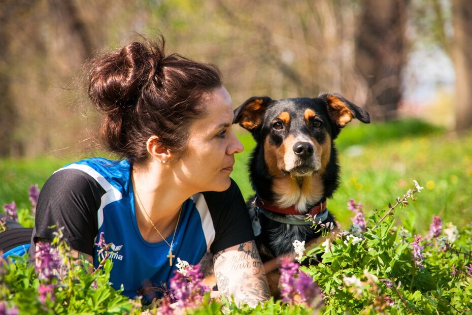 portrait, pet, human